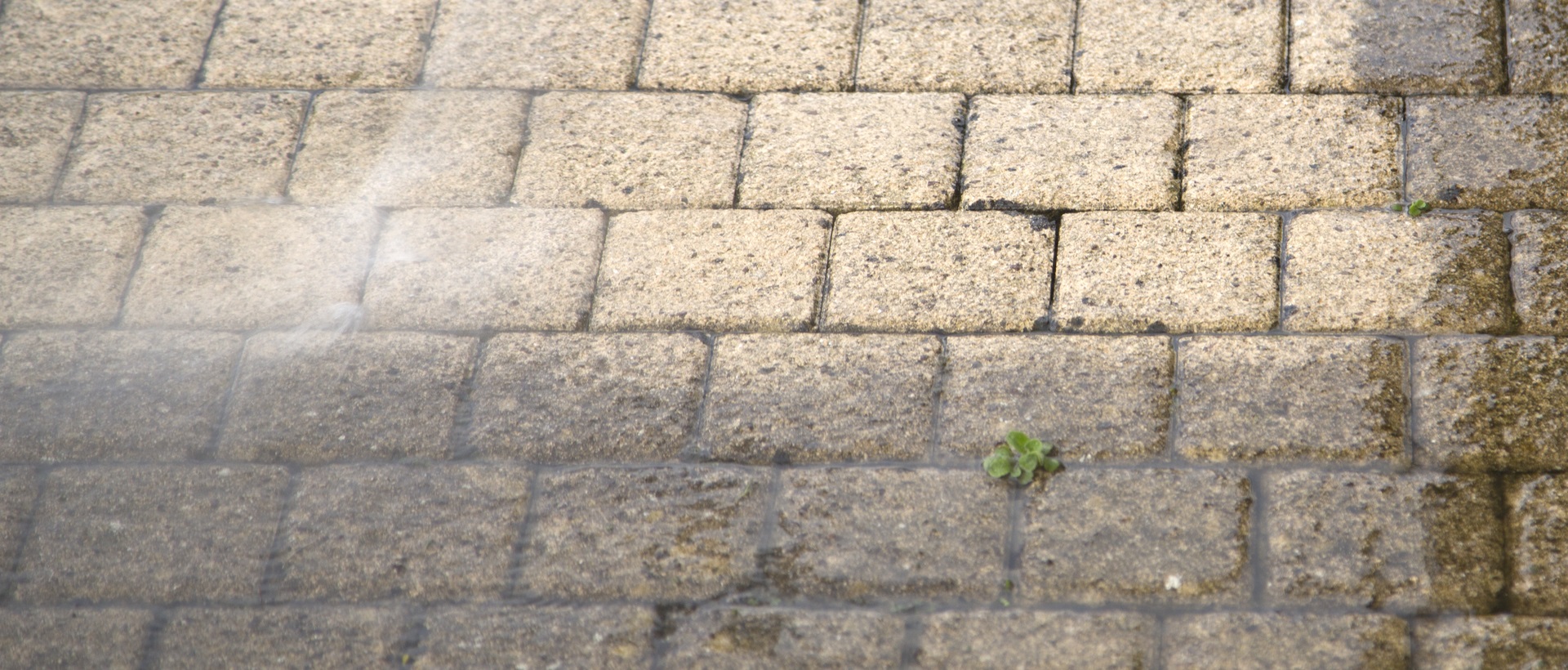 flagging and patios DA9